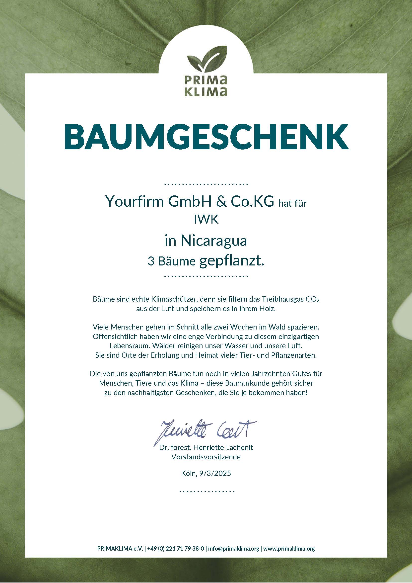 IWK - 3 Bäume in Nicaragua gepflanzt!